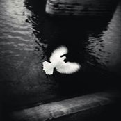 Maxim Marmura's photo
