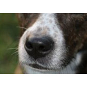 Arthur Flicker's photo