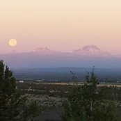 Gail Lesko's photo