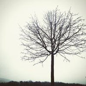 Jade Flowers's photo