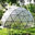 Biodomes