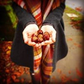 Erin Shawさんの写真