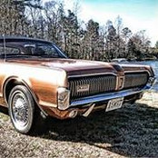 Dave Wood's photo