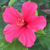 Michelle Dunn's photo