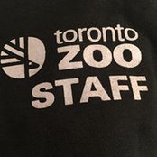 Anna Moshoian's photo