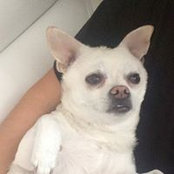 Ciara Rudas's photo