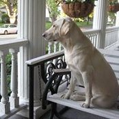 Kim Cole's photo