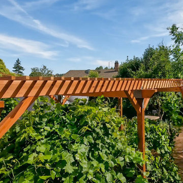 Redwood Smooth Pergola Build