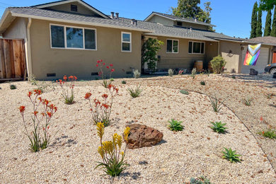 Front Yard Remodel | Granite | Pebbles | Shrubs | Low-Maintenance