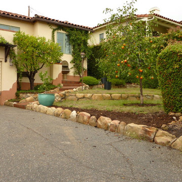 Succulents Replace Tiny Terraced Lawns