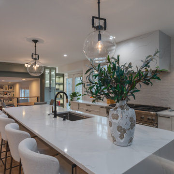 Sleek Elegance: Slim Shaker Cabinet Kitchen Renovation