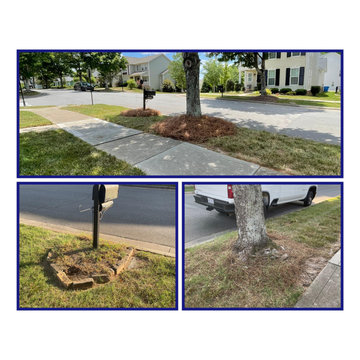JPG Landwork Pine Needle