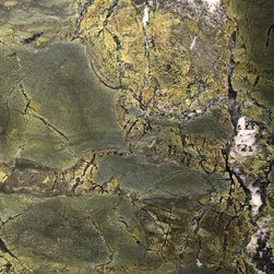 Exotic Stone Spotlight - Kitchen Countertops
