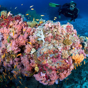 Sri Lanka Maldives Multi-Centre: The Ultimate Two-Nation Escape in 2026