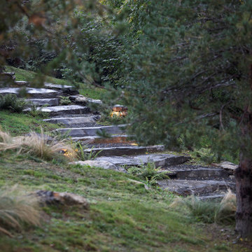 Jardin "sauvage" dans les pyrénées