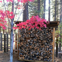 Wood Shed