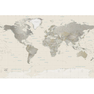 Neutral Tones World Politcal Map Decal, Peel and Stick, 1-Panel, 89"x60"