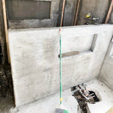 Master Bathroom and Home Remodel