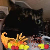 Cynthia Provow's photo