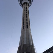 Bradley Watts's photo