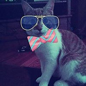 Madison Haney's photo