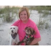 Betsy Schmitt's photo