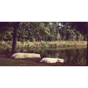 Betsy Watts's photo