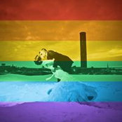 Melissa Mattson's photo