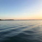 Amy Bush's photo