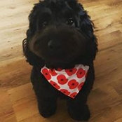 Kerry Skinner's photo