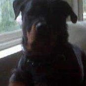 Chris Clinton's photo