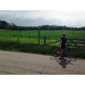 Melissa Carr's photo