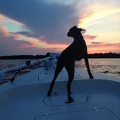 Tom Verner's photo
