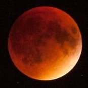 Alex Botvinnik's photo