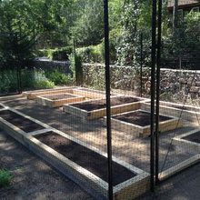 Vegetable Garden
