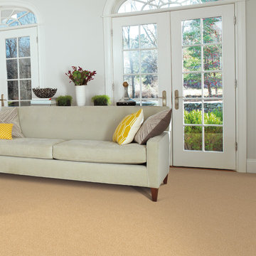 Exclusive to TLC – Lees Studio