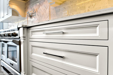 Kitchen - transitional kitchen idea in Chicago