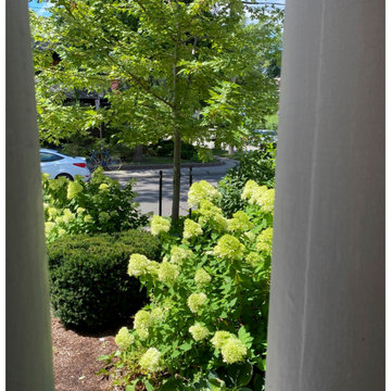 Hydrangea Floral Show