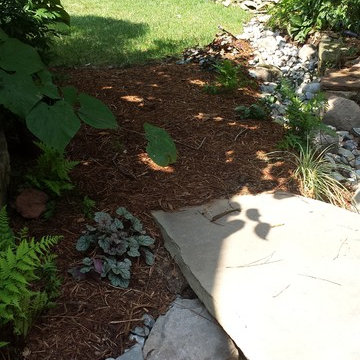 Pet-Char Stormwater Solution