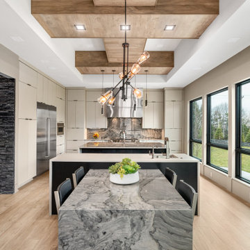 Vibranium Quartzite Kitchen