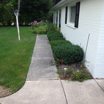 Handicap access ramp