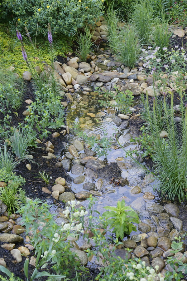 French Broad Rain Garden