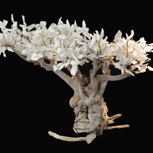 objets de déco