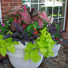 flower pots