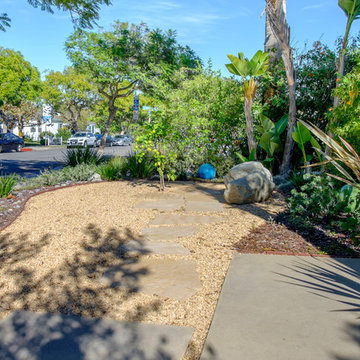 Front Yard Grass Swap