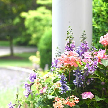 Summer Containers