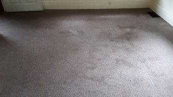 Residential Carpet Cleaning Rochester NY - What To Expect