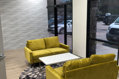 Example of a large trendy home design design in Dallas