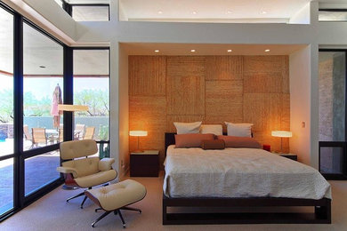 Bedroom - mid-sized modern master carpeted bedroom idea in Phoenix with white walls and no fireplace