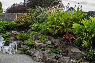 Design ideas for a small tropical garden in Auckland.